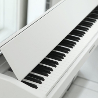 珠江艾茉森进口键盘F10电钢琴 F-10型专业88键重锤电子数码钢琴